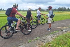 Bali: 3-dagars kultur- och äventyrstur med allt inkluderat