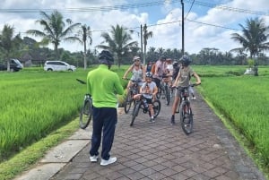 Bali: 3-dagars kultur- och äventyrstur med allt inkluderat
