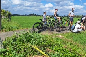 Bali: 3-dagars kultur- och äventyrstur med allt inkluderat