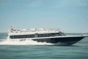 Бали: 3-дневный тур на острова Гили с проживанием в отеле и сноркелингом