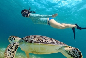 Bali: 3-Day Gili Islands Tour with Hotel & Snorkel