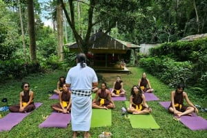 Bali (Lovina): ritiro yoga di 3 giorni con cerimonia di purificazione