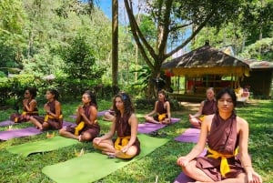 Bali (Lovina): ritiro yoga di 3 giorni con cerimonia di purificazione