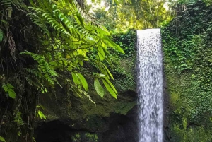 Bali: 3 episka vattenfall, Bali Swing & risterrasser