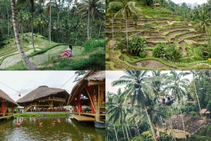 Bali: 3 Hours Short Trip Kuta/Denpasar/Nusa Dua/ Ubud.