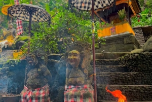 Bali: 350cc ATV Ride & Taman Beji Griya Purification Ritual