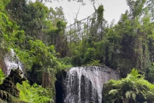 Bali: 350cc ATV Ride & Taman Beji Griya Purification Ritual