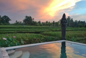 Бали: 7-дневный йога-ретрит для индивидуальных путешественников в Убуде