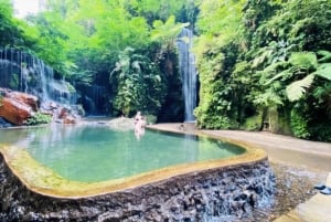 Bali: En heldagstur til Goa Raja, Tibumana og Tukad Cepung