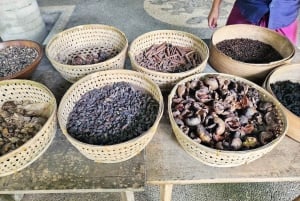 Bali: En heldagstur til Goa Raja, Tibumana og Tukad Cepung