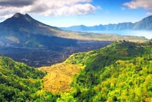 Bali: En heldagstur til Goa Raja, Tibumana og Tukad Cepung