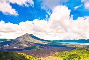 Bali: En heldagstur til Goa Raja, Tibumana og Tukad Cepung