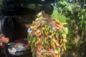 Bali: UNIQUE ACTIVITY OF FEEDING MONKEYS