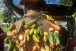 Bali: UNIQUE ACTIVITY OF FEEDING MONKEYS