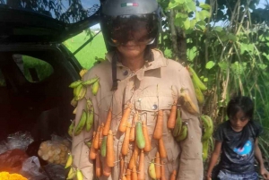 Bali: UNIQUE ACTIVITY OF FEEDING MONKEYS