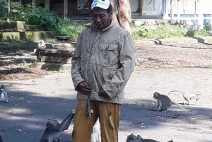 Bali: UNIQUE ACTIVITY OF FEEDING MONKEYS