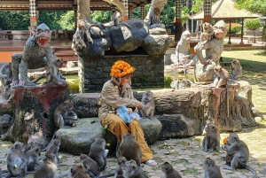Bali: UNIQUE ACTIVITY OF FEEDING MONKEYS