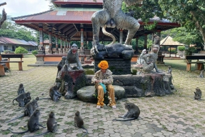 Bali: UNIQUE ACTIVITY OF FEEDING MONKEYS