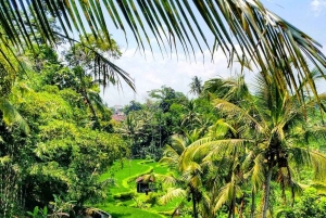 Bali: Akasa Cafe, Waterfalls, Gunung Kawi Temple tour