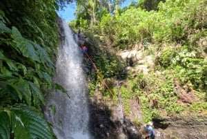 Bali: Alam Canyon The Natural Canyoning Adventure
