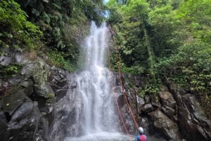 Bali: Alam Canyon The Natural Canyoning Adventure