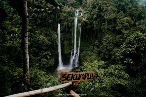 Bali: Aling Aling and Sekumpul Waterfalls Day Trip