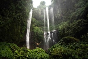 Bali: Aling Aling and Sekumpul Waterfalls Day Trip