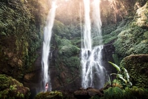 Bali: Aling Aling and Sekumpul Waterfalls Day Trip