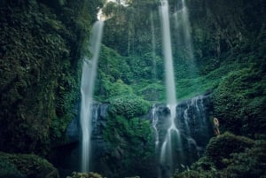 Bali: Aling Aling and Sekumpul Waterfalls Day Trip