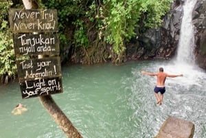 Bali: Aling Aling and Sekumpul Waterfalls Day Trip