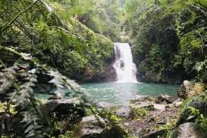 Bali: Sambangan Waterfalls Trekking, Sliding, & Jumping Trip