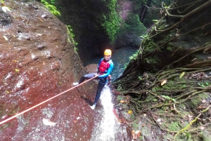 Bali Excursión de Barranquismo en el Cañón de Aling