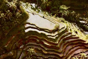 Bali: All-Inclusive Combo Adventure Ticket with Transfer