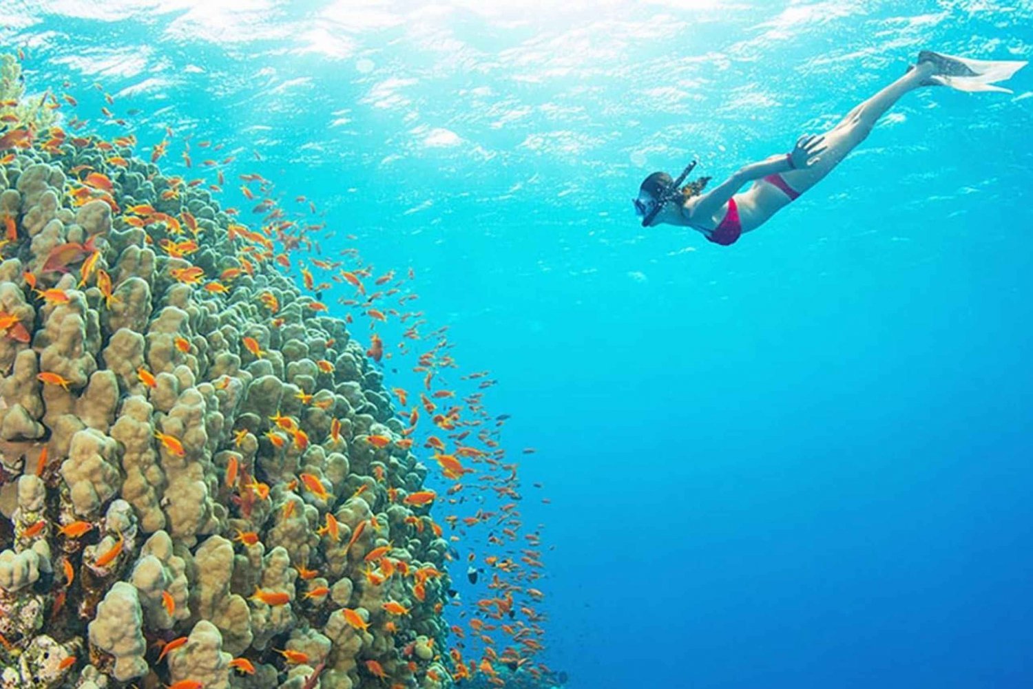 Bali: Snorkeling all inclusive alla spiaggia Blue Lagoon