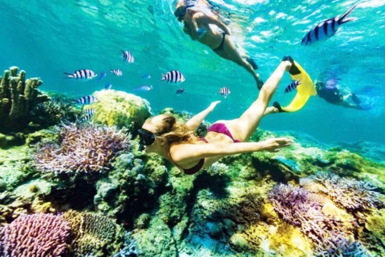 Bali: All-Inclusive Snorkeling at Blue Lagoon Beach