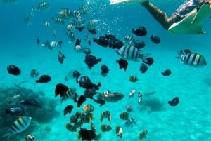 Bali: Snorkling med all-inclusive på Blue Lagoon Beach