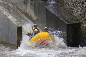 Bali: All-Inclusive White Water Rafting Adventure in Ubud