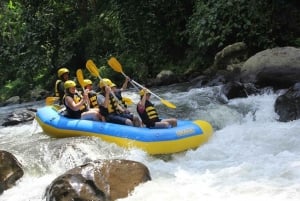 Bali: All-Inclusive White Water Rafting Adventure in Ubud