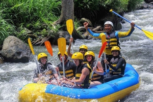Bali: Alt-inkludert rafting i Ubud med rafting på hvitt vann