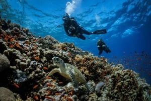 バリ島アメッド：アドバンスド・オープンウォーター・コースとカヤック・アドベンチャーをお楽しみください