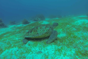 Бали, Амед: специализированный курс Deep Diver и прогулка на каяке