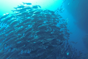 Бали, Амед: специализированный курс Deep Diver и прогулка на каяке