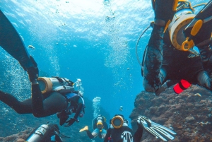 バリ島アメド：エンリッチドエアニトロックスダイビングコースとカヤックをご利用いただけます