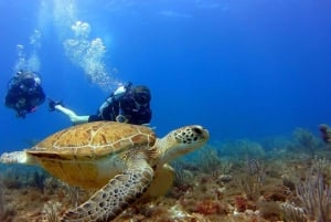 バリ島アメド：エンリッチドエアニトロックスダイビングコースとカヤックをご利用いただけます