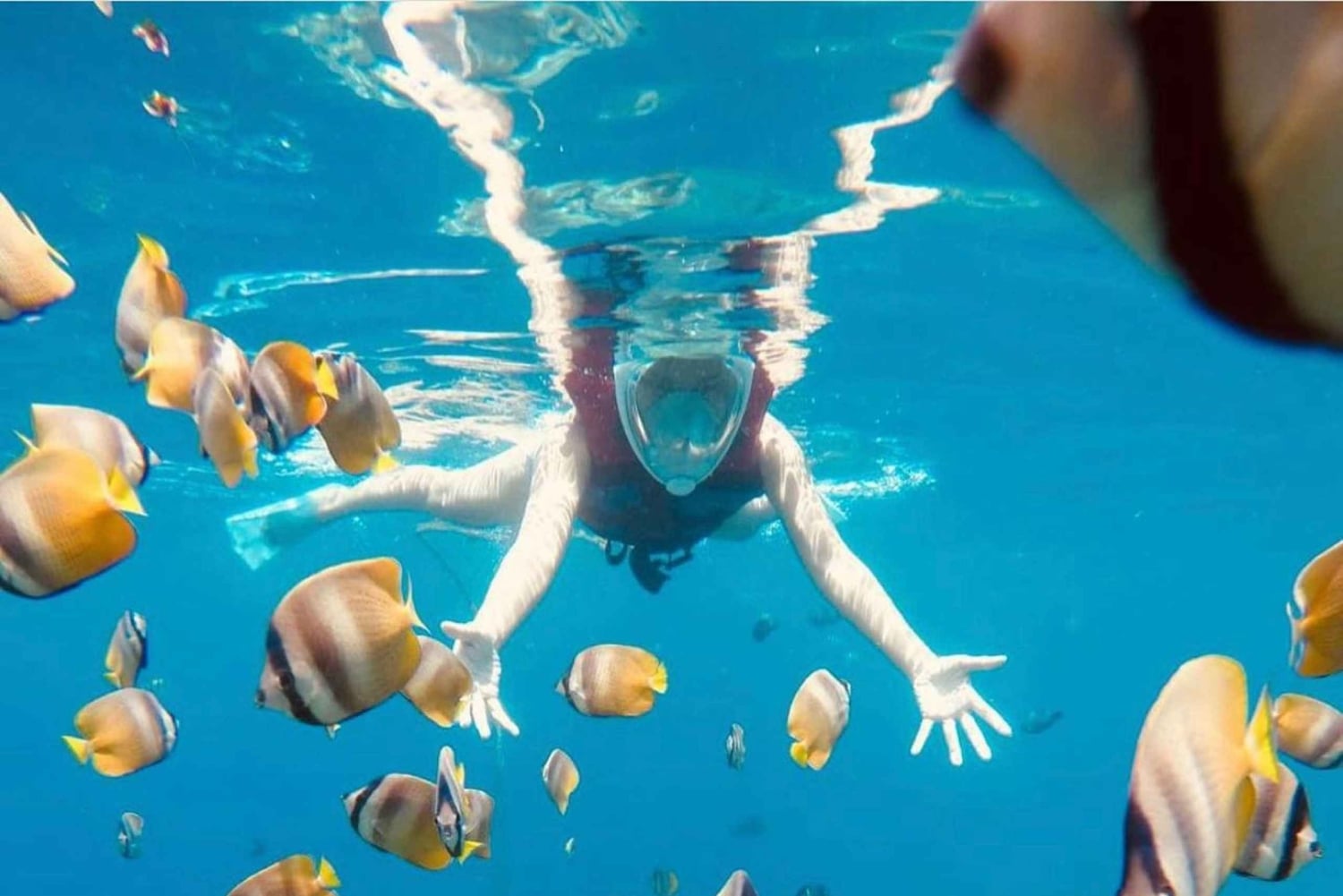 Bali: aventura de mergulho com snorkel na praia de Amed, Jemeluk e Lipah