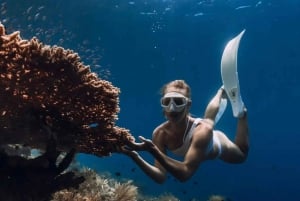 Bali: Amed, Jemeluk & Lipah Beach Snorkeling Adventure