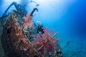 Bali, Amed: Specjalność Wreck Diver i przygoda z kajakiem
