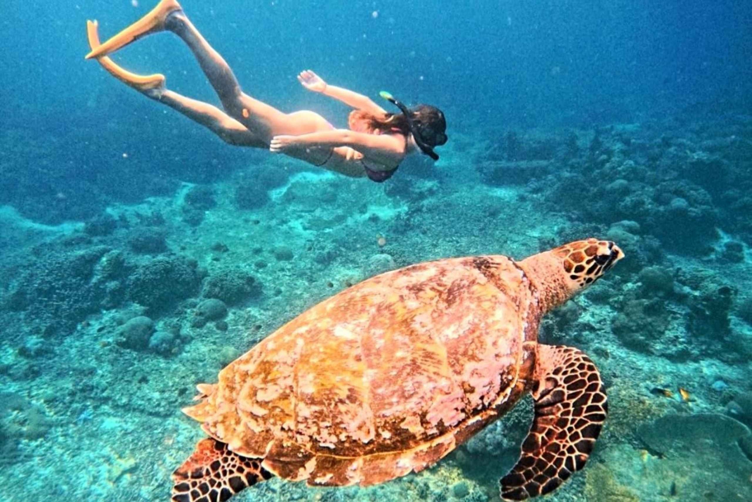 Bali: Amed Snorkeling, Fishing & Cooking All-inclusive Tour