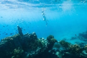 Bali/Amed: Snorkelen onder water tempels