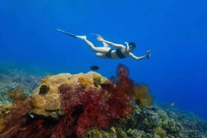 Bali/Amed: Snorkelen onder water tempels